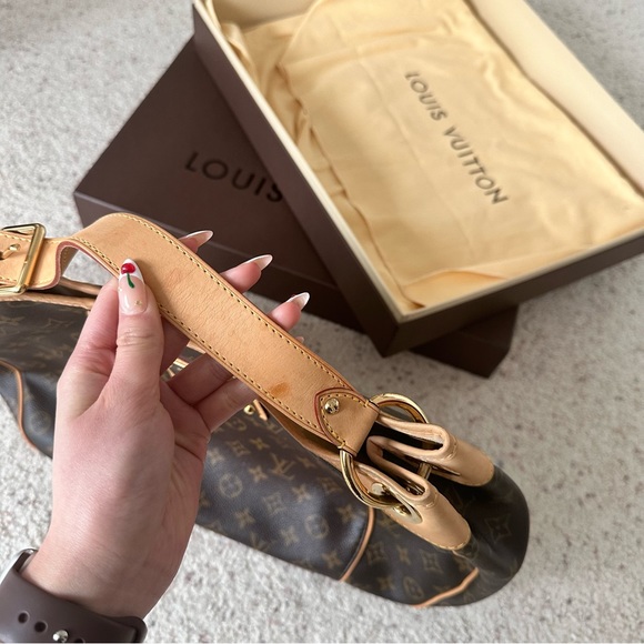 Louis Vuitton Monogram Galliera PM - Picture 15 of 16